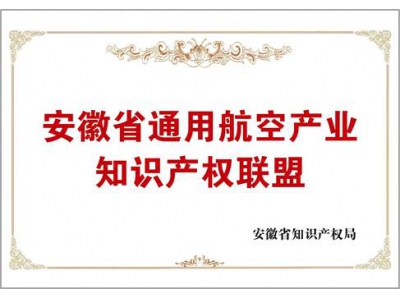安徽省通用航空產(chǎn)業(yè)知識產(chǎn)權(quán)聯(lián)盟
